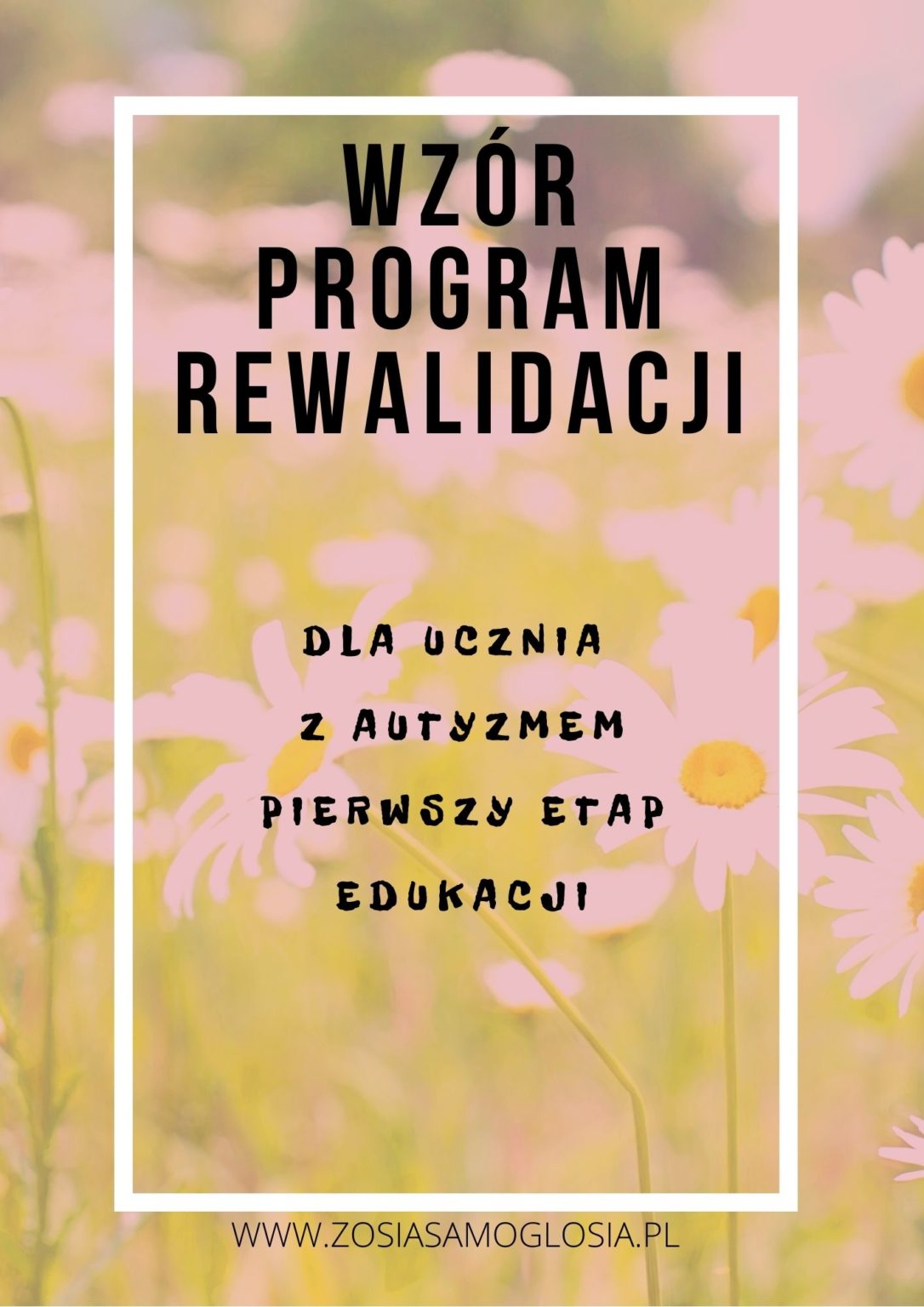 Program Rewalidacji Indywidualnej W Stopniu Lekkim Klasa 7 Wzór Programu Rewalidacji Indywidualnej dla ucznia z Autyzmem – Zosia
